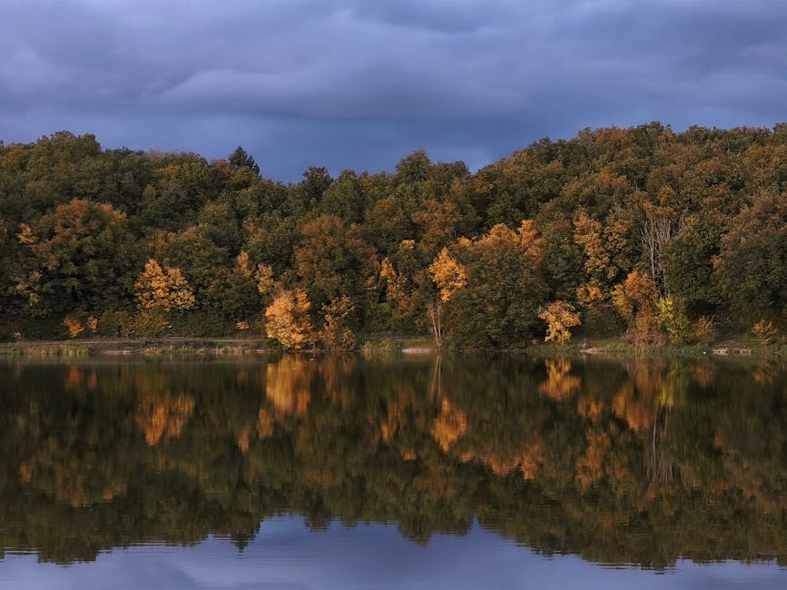 申請食物製造廠牌照全攻略