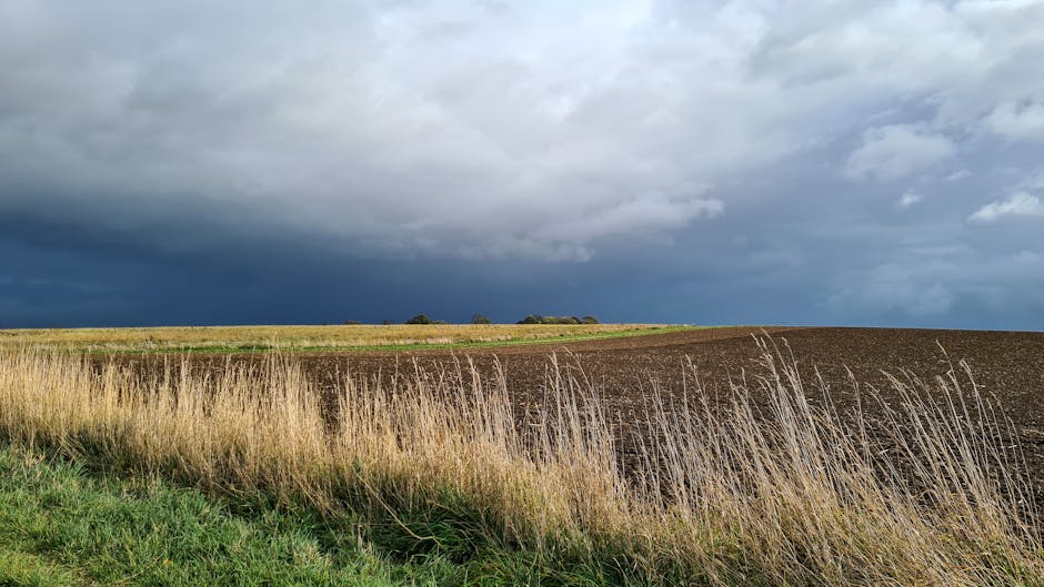 IT 外判的優勢與實踐分享