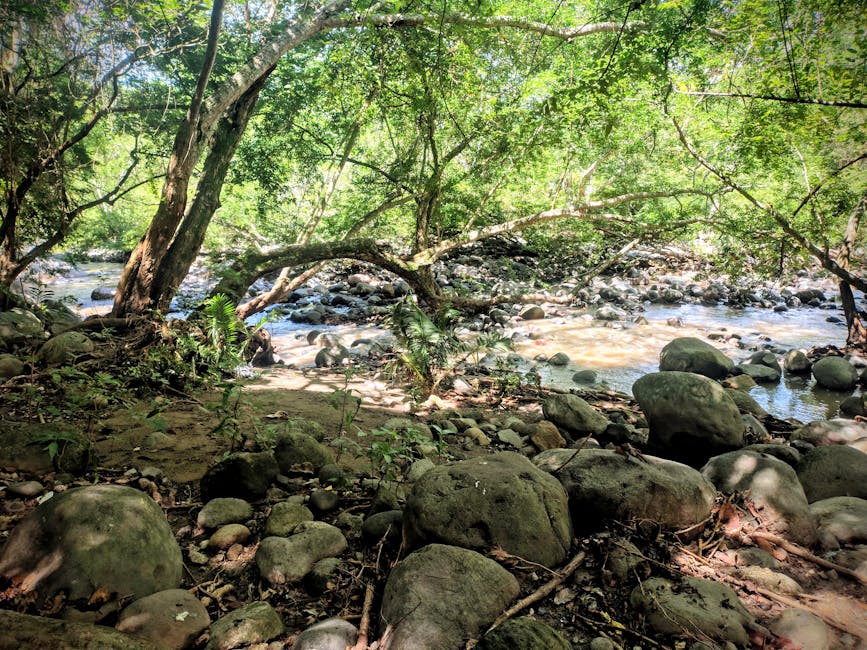 水機香港：探索純淨飲用水的智慧選擇