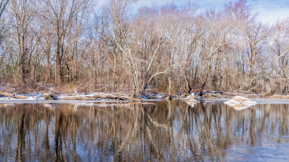 Thermage 效果大解密：讓你皮膚緊緻不是夢！